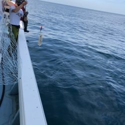 あみや渡船 JIGBOY 釣果