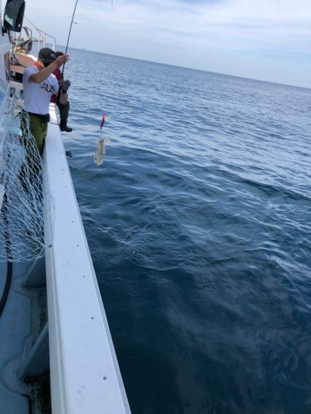 あみや渡船 JIGBOY 釣果