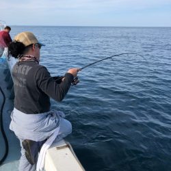 あみや渡船 JIGBOY 釣果