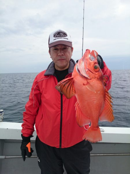 エンペラー 釣果