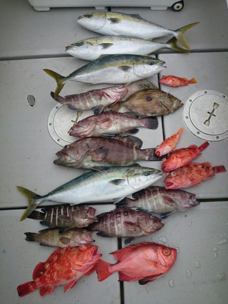 エンペラー 釣果