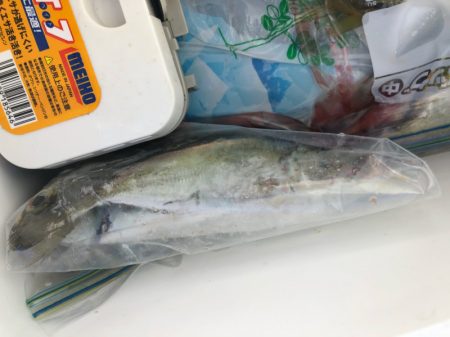 あみや渡船 釣果