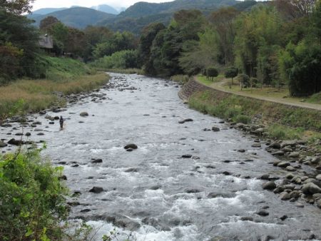 狩野川(狩野川漁業協同組合) 釣果