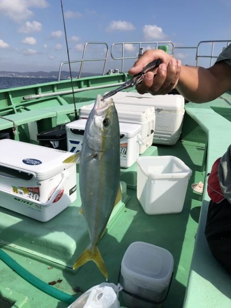 昇丸 釣果
