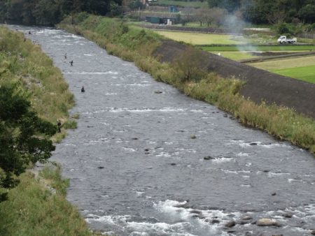 狩野川（狩野川漁業協同組合） 釣果