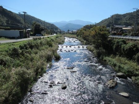 狩野川(狩野川漁業協同組合) 釣果