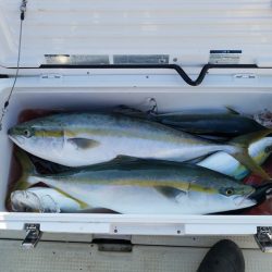 遊漁船 ニライカナイ 釣果