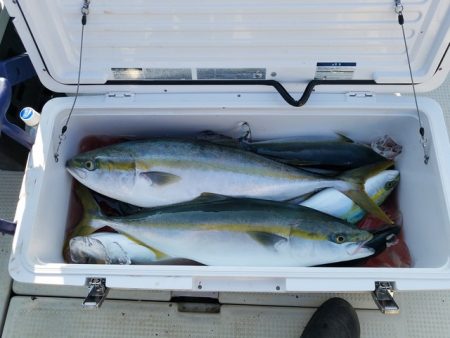 遊漁船 ニライカナイ 釣果