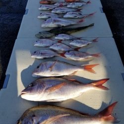 オーフリー 釣果