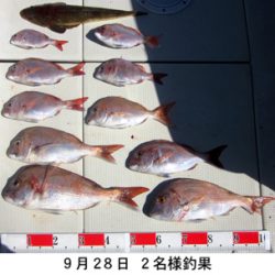 来温丸(らいおんまる) 釣果