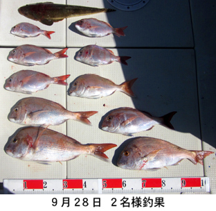 来温丸（らいおんまる） 釣果