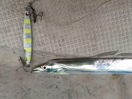 ワンピッチジャーク後のロングフォールにヒット☆メガバススラッシュビートインプレッション