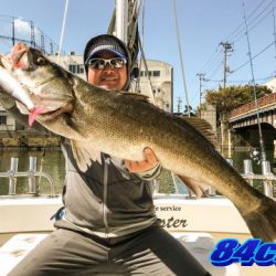 オーシャンマスター 釣果