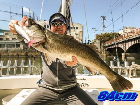 オーシャンマスター 釣果