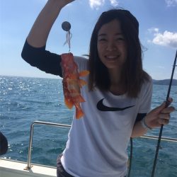 マタウマリンサービス 釣果