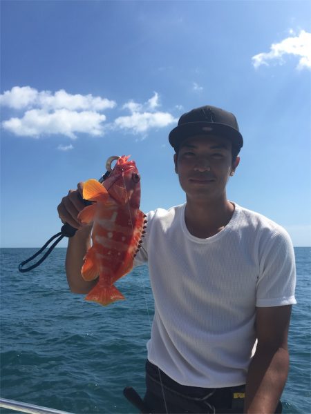 マタウマリンサービス 釣果