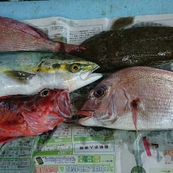 明神釣船 釣果