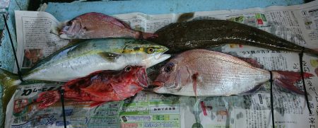 明神釣船 釣果