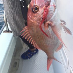 マタウマリンサービス 釣果