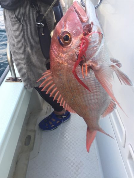 マタウマリンサービス 釣果