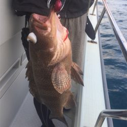 マタウマリンサービス 釣果