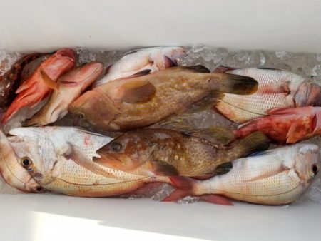 オーフリー 釣果