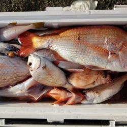 オーフリー 釣果