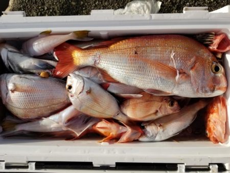 オーフリー 釣果