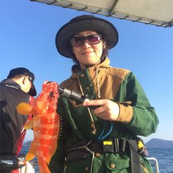 マタウマリンサービス 釣果