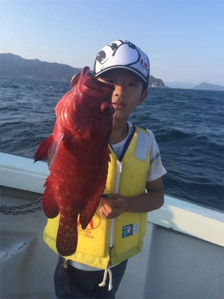 マタウマリンサービス 釣果