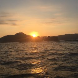 マタウマリンサービス 釣果