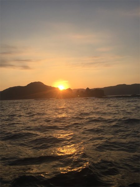 マタウマリンサービス 釣果