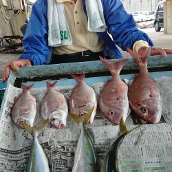 明神釣船 釣果