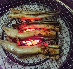 松本釣船2 釣果