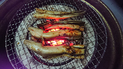 松本釣船2 釣果