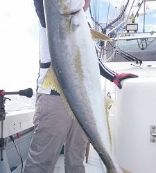 海龍丸(福岡) 釣果