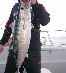 海龍丸(福岡) 釣果