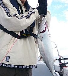 海龍丸(福岡) 釣果