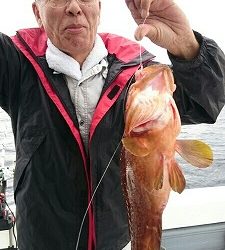 海龍丸(福岡) 釣果