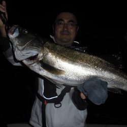 ルアー船マヒマヒ 釣果