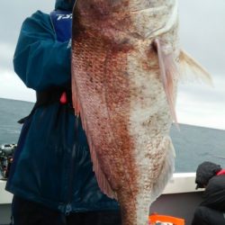 海運丸 釣果