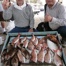 明神釣船 釣果