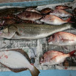 明神釣船 釣果
