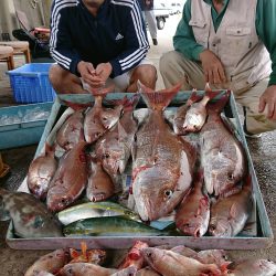 明神釣船 釣果