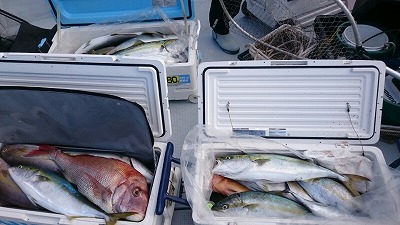 海龍丸(福岡) 釣果