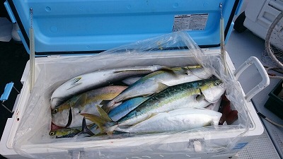 海龍丸(福岡) 釣果