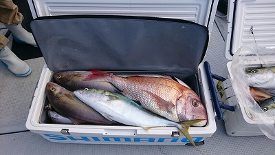 海龍丸(福岡) 釣果