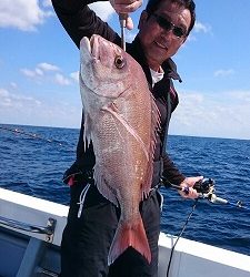 海龍丸(福岡) 釣果
