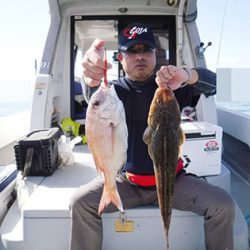 松本釣船２ 釣果