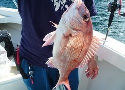 愛裕南丸 釣果